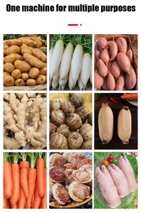 Автоматическая машина для мытья моркови и очистки кассавы RB, электрическая картофелечистка для продажи - Product Image 6