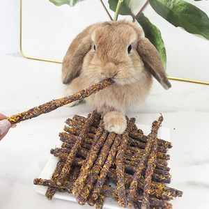Masticare per coniglietti molari di coniglio Snack coniglio giocattoli da masticare coniglietti giocattoli da masticare per animali da compagnia tratta di ranca di mela criceto cibo legno Che - Product Image 2