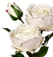 3 têtes d'iris artificielles en plastique blanc souple, ultra-réalistes, résistantes aux UV, avec tige pliable, pour la maison, les mariages, les hôtels, les fêtes, les bouquets de mariée