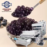 Ligne de production de machines à fabriquer des perles de boba à éclatement rapide, de qualité supérieure, à alimentation directe, pour la fabrication commerciale de billes de jus