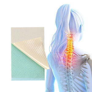 Échantillon gratuit Fourniture de soins de santé Capsicum Pain Patch Plâtre pour le soulagement du dos - Product Image 5