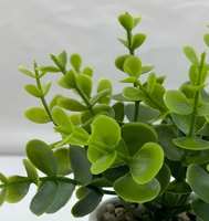 Rangkaian Rumput Eucalyptus Buatan Terlaris, Bunga Dekoratif untuk Hotel, Mal, Dekorasi Natal, Lanskap - Ramah Lingkungan