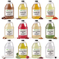 Minyak Biji Mangga Organik Murni, Minyak Inti Mangga Cold Pressed, Label Pribadi, Minyak Pembawa untuk Perawatan Kulit, Pabrik Kosmetik