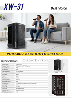 Haut-parleur portable professionnel rechargeable avec batterie intégrée, entrées USB/BT/AUX, woofer 8 pouces, sortie 400W, radio FM, sans fil et portable