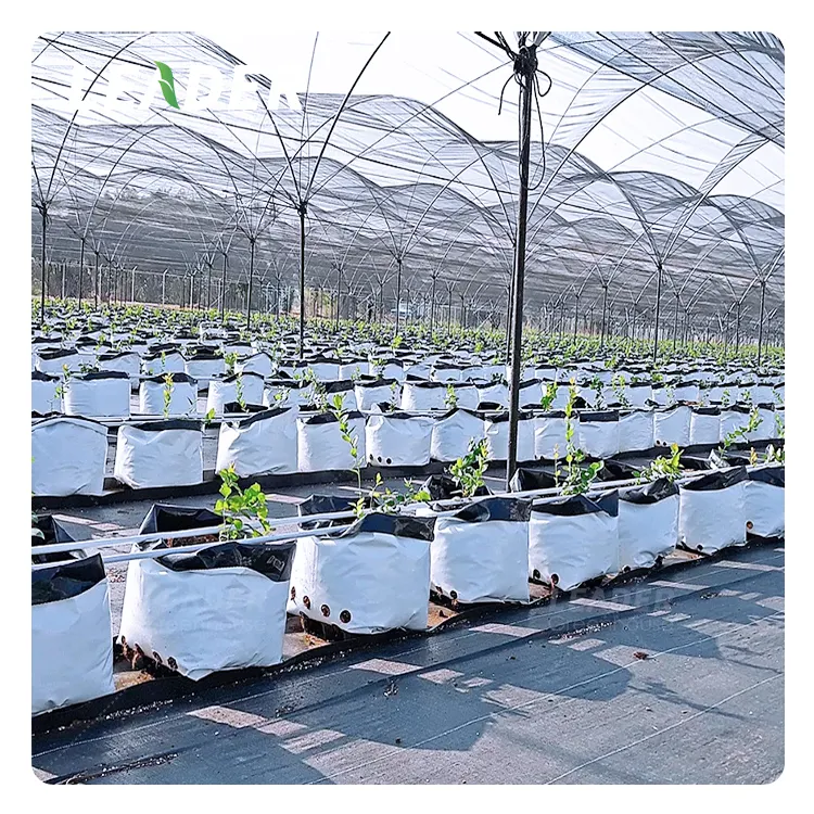 New agricultural poly tunnel greenhouse blueberry growing black white PE square plant grow seeding bags for planting vegetable