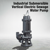 Pompe submersible pour eaux usées, électrique verticale WQ, haute efficacité, anti-colmatage, durable et fiable, personnalisation OEM