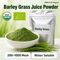 Poudre d'herbe d'orge biologique USDA UE HALAL et poudre de jus d'herbe d'orge 200-1000 Mesh, soluble dans l'eau, qualité alimentaire, approvisionnement en vrac