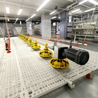 Système d'élevage de poulets de chair en gros, équipement d'élevage avicole pour l'élevage de poulets, fournitures avicoles, outils agricoles, mangeoires pour animaux