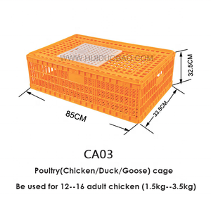 Scatole di trasporto per pollo, gabbia per pollo in plastica economica in vendita casse di plastica agricole - Product Image 5