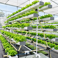 Système hydroponique automatique NFT Skyplant de grande taille avec pompe pour l'agriculture écologique et le jardinage vertical