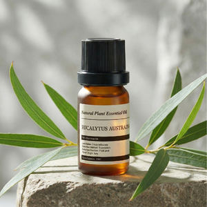 น้ำมันหอมระเหย OEM อโรมาเธอราพี 10 มล. บริสุทธิ์ 100% จากธรรมชาติ น้ำมันหอมระเหยยูคาลิปตัสออสเตรเลีย สำหรับต้านเชื้อแบคทีเรียและบำรุงผิว - Product Image 1