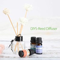Huiles essentielles bio Offre Spéciale naturelles pures vente en gros achat d'arbre à thé menthe poivrée lavande diffuseur arôme huile essentielle