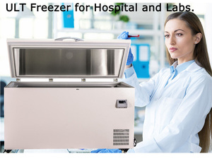 Congelador Comercial Mini de 320 L, Ultra Baja Temperatura -65 °C, Congelador de Transferencia Médica, Utilizado para Productos Acuáticos DW-65W370 - Product Image 2