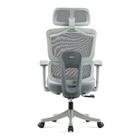 Chaise de bureau avec support lombaire 3D entièrement en mesh |   Chaise de bureau rotative transparente pour secrétaires, bureau, salle d'attente