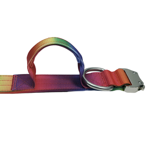 Collier pour chien robuste à dégradé arc-en-ciel avec boucle en métal de luxe pour chiens de taille moyenne à grande - Product Image 6