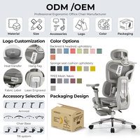 Chaise de bureau exécutive ergonomique moderne en maille avec cadre en plastique, accoudoirs 3D réglables, support lombaire et fonction inclinable