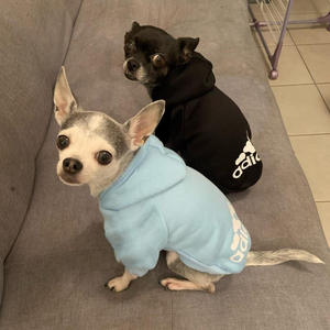 Vêtements pour chiots XS-9XL, sweats à capuche pour chiens de taille moyenne et grande, manteau, veste, sweat à capuche pour chien, vêtements pour chien - Product Image 5