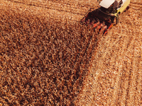 Moissonneuse-batteuse AF88G de haute performance et de bonne qualité, hauteur de déchargement réglable pour un transfert facile des grains vers diverses remorques