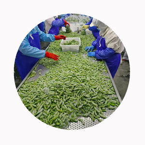 Soja vert congelé IQF en dosettes edamame au meilleur prix - Product Image 2