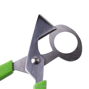1 pièce Ciseaux à œufs pour pigeon et caille, ouvre-œufs, trancheurs d'œufs, outils de cuisine, accessoires pour femmes au foyer, gadgets pratiques - Product Image 3