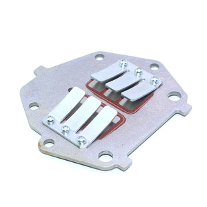 Kit de soupapes d'admission pour moteur hors-bord Dongfa 2 temps 9,8 CV 3B2-02110-0 pour remplacement et réparation - Product Image 5