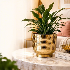 Pot de fleurs en métal doré, moderne, luxueux, à nervures, pour plantes d'intérieur, à poser sur le bureau - Product Image 1