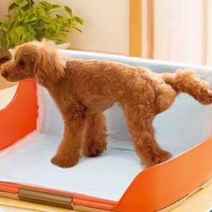 Productos para Mascotas, Alfombrilla Superabsorbente e Impermeable para Orina de Cachorros, Pañal para Mascotas, Alfombrilla de Entrenamiento para Perros - Product Image 2