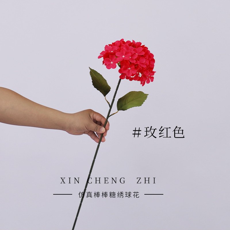 กุหลาบแดงมีใบ