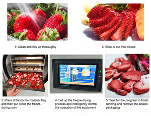 Liofilizador Automático Pequeño de Acero Inoxidable Nathi Home, para Uso Comercial, para Alimentos, Frutas y Verduras - Product Image 6
