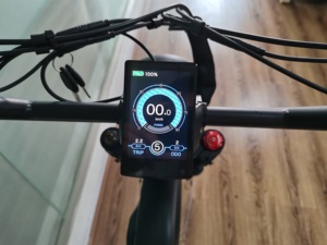 QUEENE/1000w Vélo électrique à gros pneus/Vélo électrique pour la neige/Super vélo électrique de plage - Product Image 3