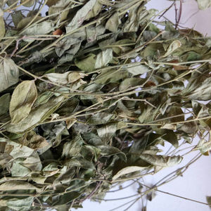 Травяная медицина дикая полигала сибирская сырая сушеная полибала сибирская целые растения для продажи - Product Image 4