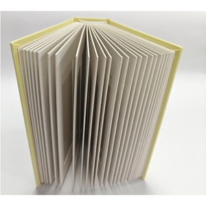 Nuovo Stile Popolare: <span class=keywords><strong>Album</strong></span> Fotografico per Matrimonio in Lino Giallo di Alta Qualità, Copertina Rigida 2x6'', Contiene <span class=keywords><strong>200</strong></span> Strisce Fotografiche - Product Image 6