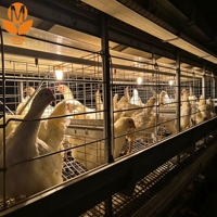 Lámpara LED Comercial para Jaulas de Aves de Corral, 48V DC, Impermeable IP67, Sistema de Iluminación Regulable para Grandes Granjas de Pollos