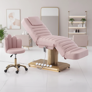 Popular Pink <b>Electric</b> Beauty Bed White and Silver <b>Electric</b> Beauty Bed - Product Image 1