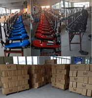 2026 Neuestes Design Elektroroller 8-Zoll 2-Rad LED-Licht Stadtpendler 250W Leistungsstarker Roller