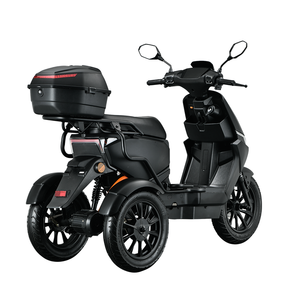 Scooter Eléctrico de Tres Ruedas de Aleación de Aluminio Euro5 EEC Coc, Motor sin Escobillas de 1000W, Batería de Litio, Control Remoto - Product Image 5