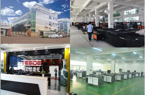 Trung Quốc Nhà Máy TESIDE Tự Động Die Blade Máy Uốn & Auto Nhăn Dòng Máy Cắt - Product Image 4