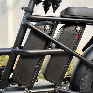 Vélo électrique à pneus larges 48V avec double batterie au lithium, double moteur, longue autonomie, homologué ODM Chine, avec sièges pour bébé - Product Image 6