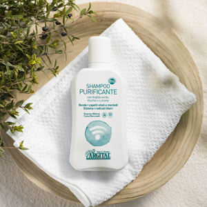 Argital Champú Orgánico Purificante en Formato Líquido de 250ml con Arcilla Verde, Visco y Limón para Cabello Graso Unisex - Product Image 2