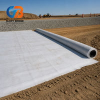 Bâche en argile bentonite GCL haute résistance à la traction, résistante aux perforations, de haute qualité pour l'utilisation sur les pentes de barrages et réservoirs