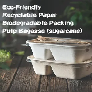 Contenedor desechable de pulpa de bagazo de caña de azúcar biodegradable, caja Bento para llevar, contenedor rectangular con tapa