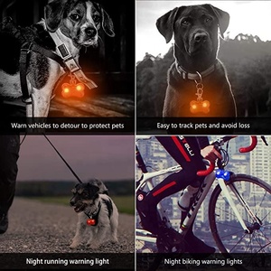 SinSky – lampe LED d'avertissement de sécurité pour animaux de compagnie, collier de Style nœud papillon ou os, pendentif, nom, étiquette d'identification, chien, chat, marche et course la nuit