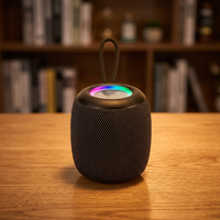 Nouveaux produits WS309 2026 Mini Enceinte Bluetooth de haute qualité audio