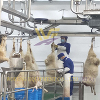 Machine automatique de nettoyage des boyaux de mouton, équipement de traitement pour abattoir de bétail