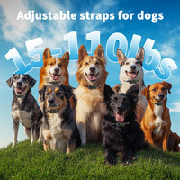 TIZE Ultraschall Hund Anti Barking Halsband Beep Vibration Kein Schock Sicher Hund Stop Bark Trainings halsband mit 7 einstellbaren Empfindlichkeit