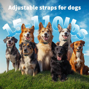 Collar ultrasónico antiladridos para perros TIZE, bip, vibración, sin golpes, seguro, para perros, collar de entrenamiento de ladridos con 7 sensibilidad ajustable - Product Image 6