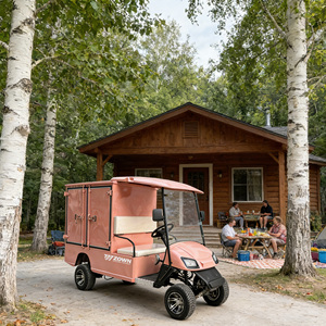Prix d'usine abordables : Buggy de club électrique à <span class=keywords><strong>batterie</strong></span> 2 places 72V, Scooter urbain, Voitures de golf électriques avec coffre de chargement - Product Image 1