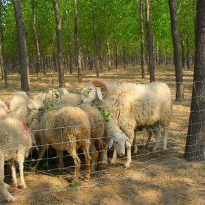 Système de clôture électrique 10cm cadre en métal filet de bétail 50m bétail Animal jardin clôture maille 6ft treillis pour fermes jardins - Product Image 1