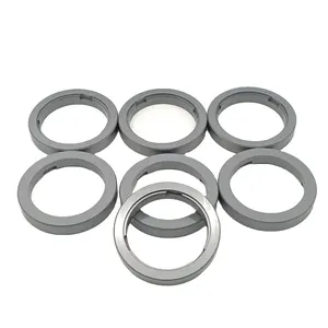 Tùy chỉnh trục con dấu Vòng Silicone Carbide SIC Ring cho bơm con dấu cơ khí