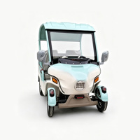 Carrito de Golf Eléctrico Holladay con Toldo, Scooter de Movilidad para Personas Mayores de 4 Ruedas, Carrito Eléctrico de Compras Doméstico Pequeño y Potente de 48V